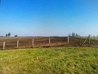 Agrícola en venta en Traiguén