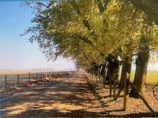 Agrícola en venta en Traiguén