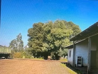 Agrícola en venta en Traiguén