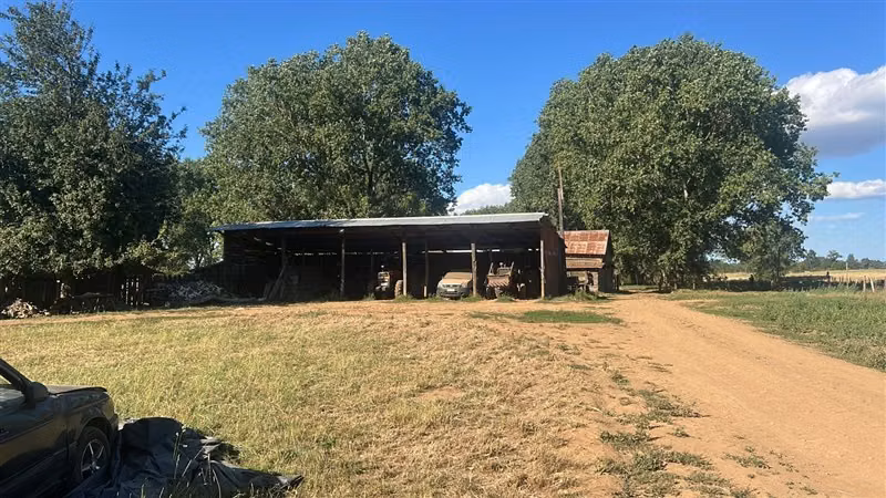 Agrícola en venta en Río Negro