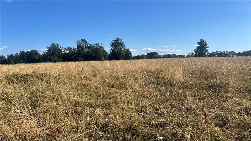 Agrícola en venta en Río Negro