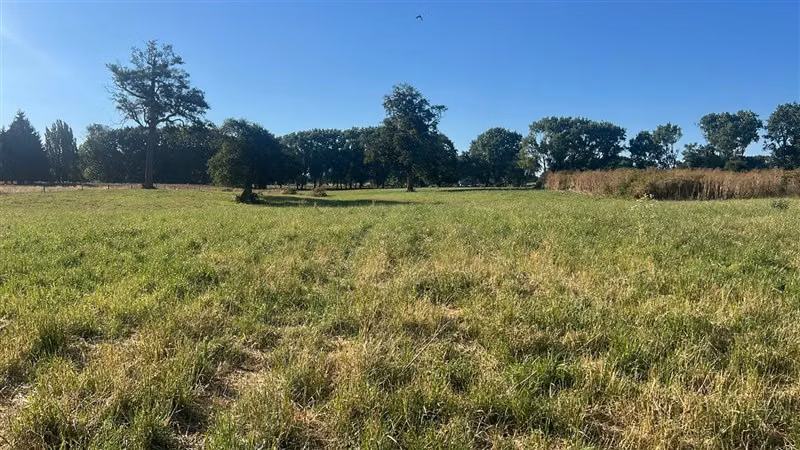 Agrícola en venta en Río Negro