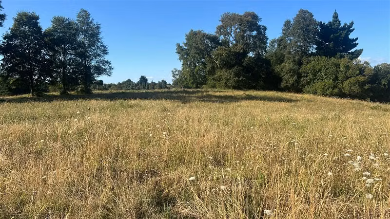 Agrícola en venta en Río Negro