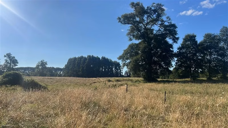 Agrícola en venta en Río Negro