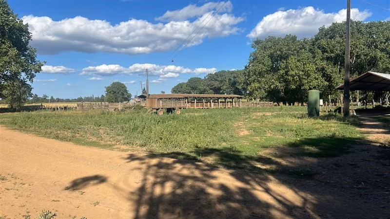 Agrícola en venta en Río Negro