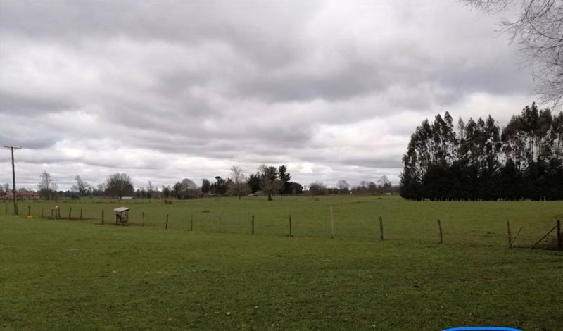 Agrícola en venta en Río Negro