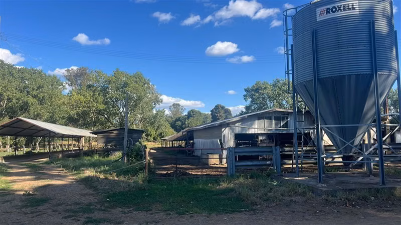 Agrícola en venta en Río Negro
