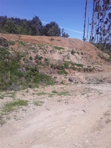 Sitio en venta en Puerto Varas - Imagen 2