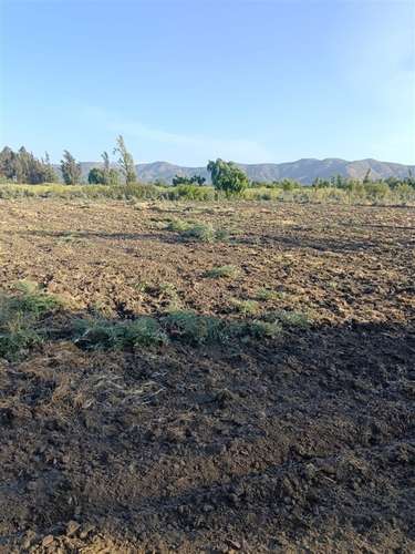 Sitio en venta en María Pinto - Imagen 4