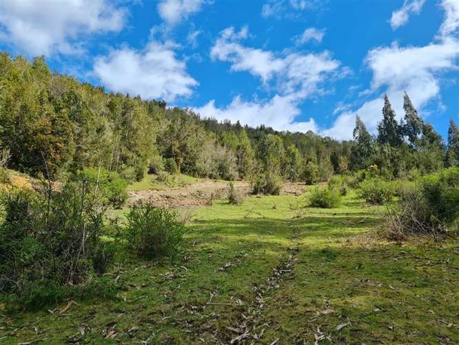 Parcela en venta en Los Muermos - Imagen 2