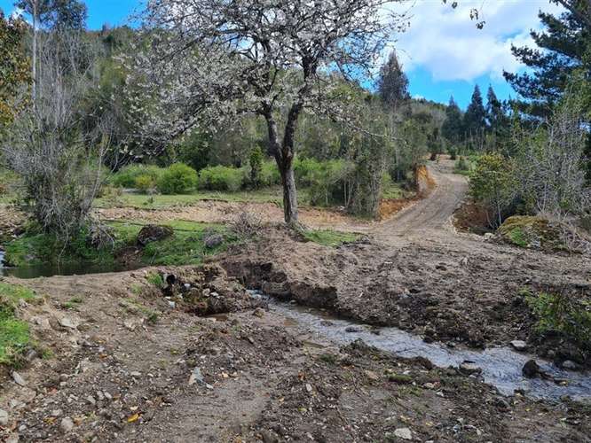 Parcela en venta en Los Muermos - Imagen 5