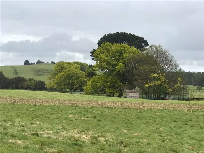 Parcela en venta en Puerto Varas, Condominio Los Encinos