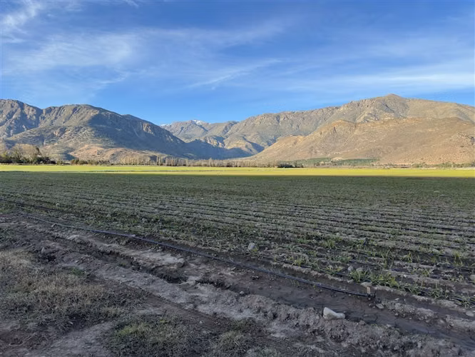 Agrícola en venta en Catemu
