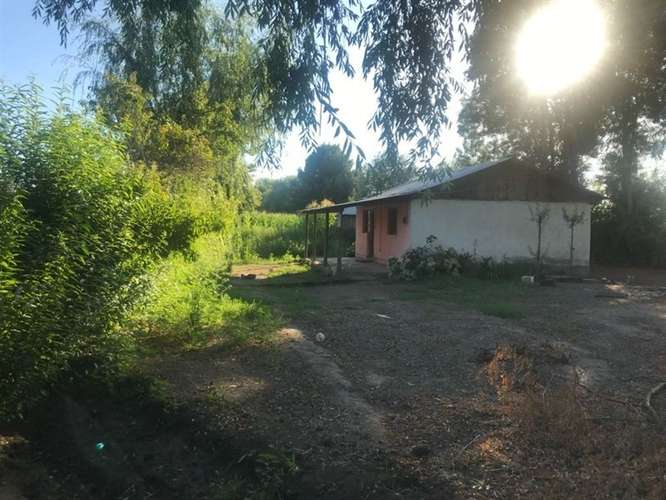 Agrícola en venta en Longaví - Imagen 3