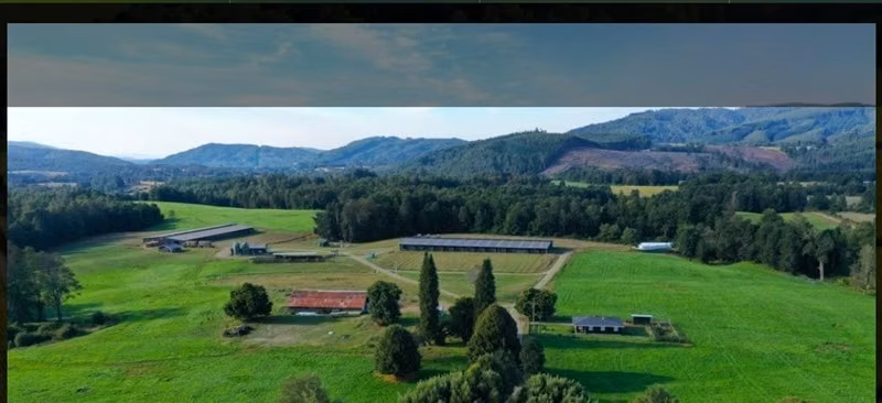 Agrícola en venta en Paillaco
