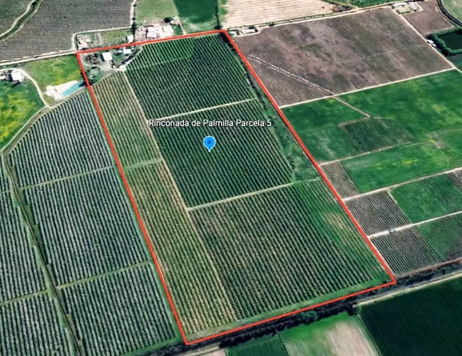 Agrícola en venta en Palmilla