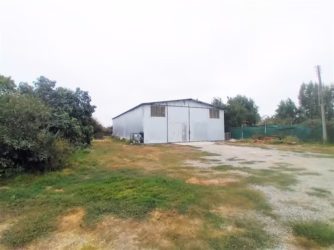 Agrícola en venta en Palmilla
