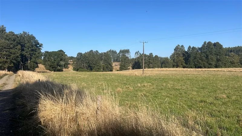 Agrícola en venta en Purranque