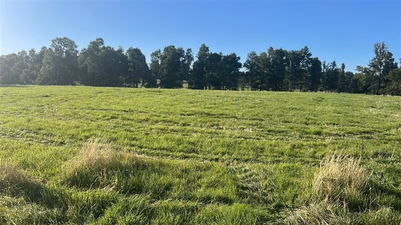 Agrícola en venta en Purranque
