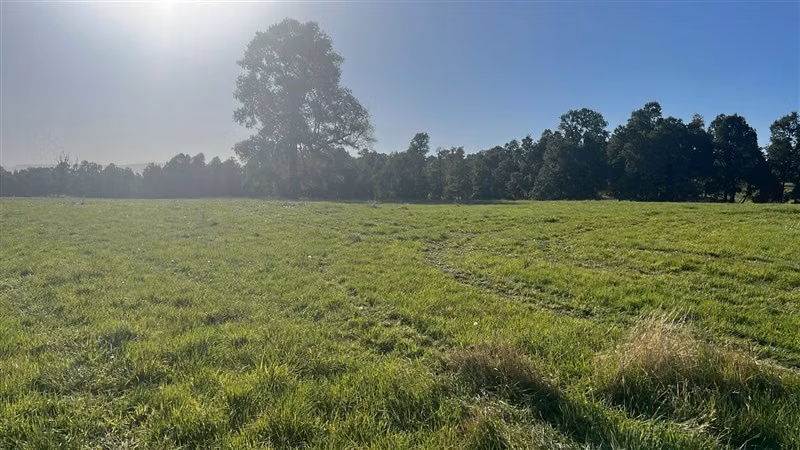 Agrícola en venta en Purranque