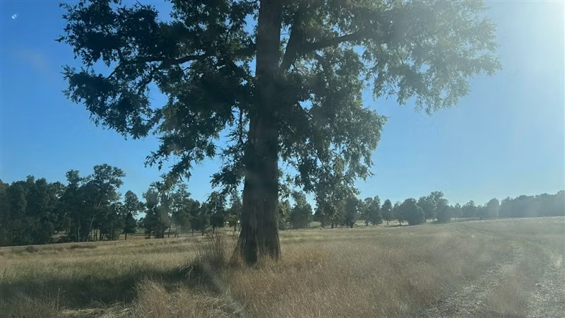 Agrícola en venta en Purranque