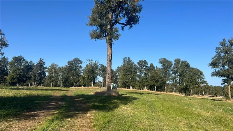 Agrícola en venta en Purranque