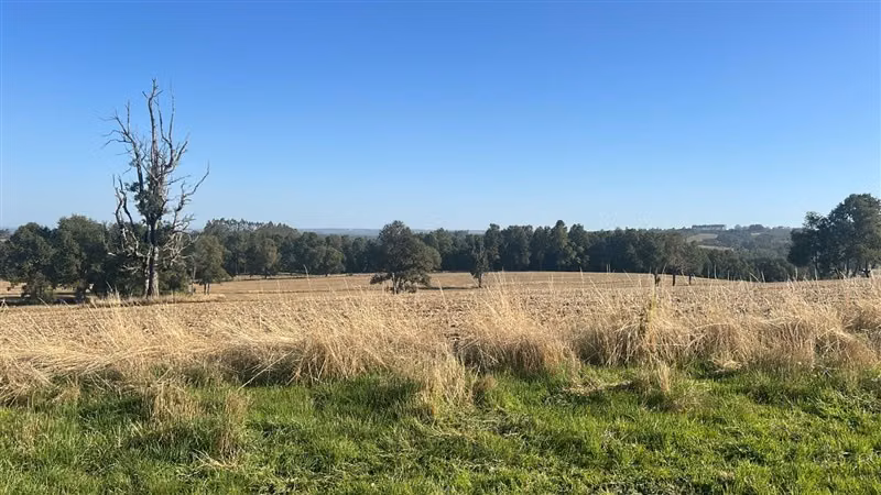 Agrícola en venta en Purranque