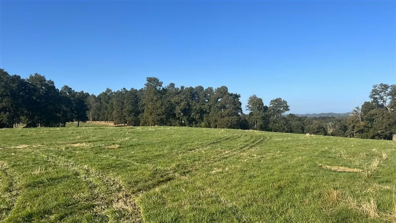 Agrícola en venta en Purranque