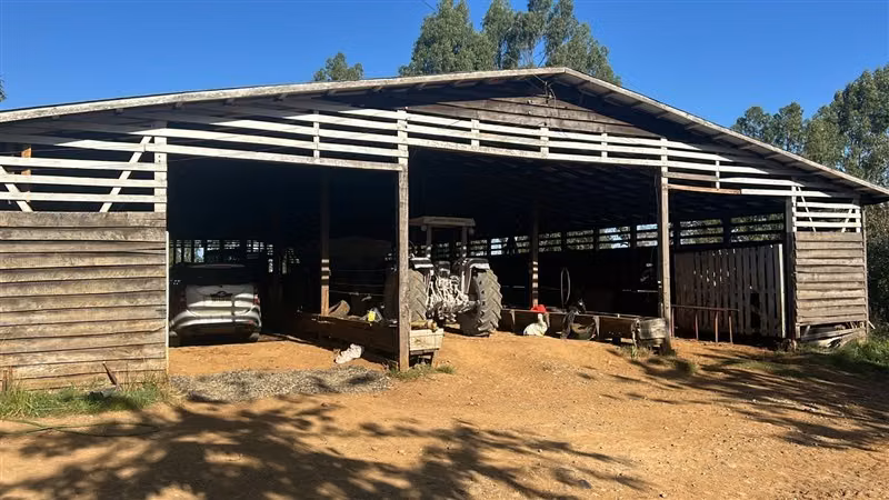 Agrícola en venta en Purranque