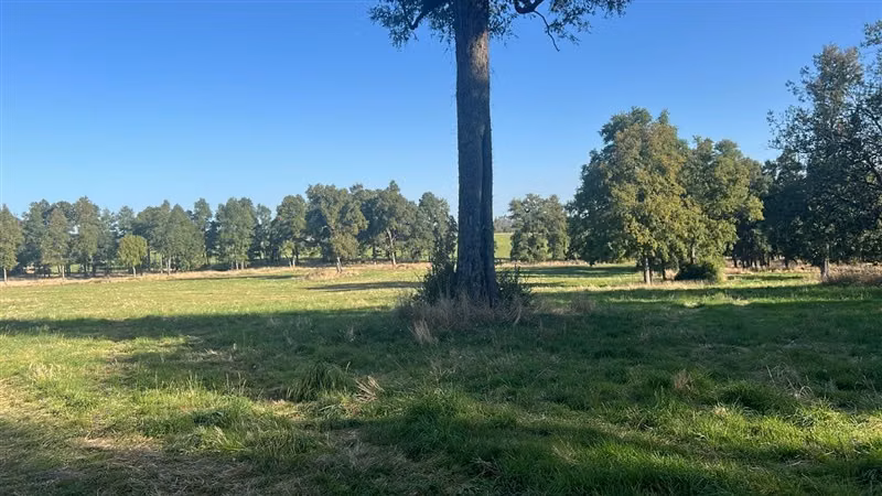 Agrícola en venta en Purranque