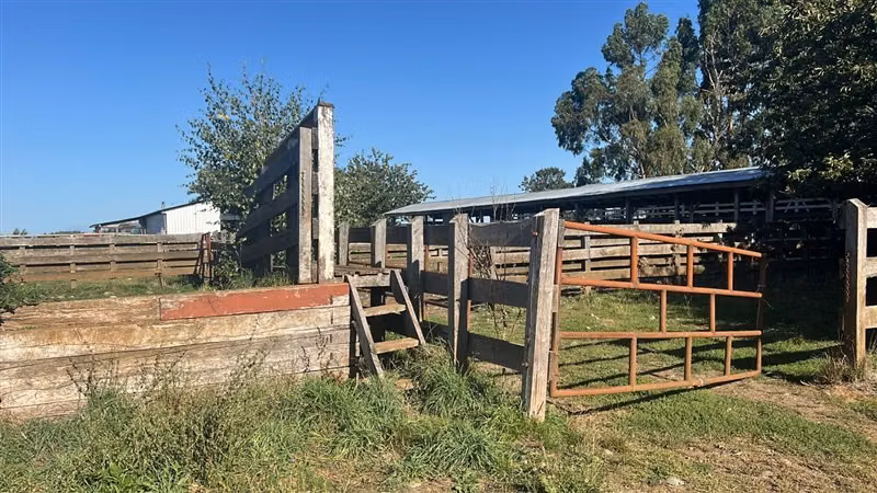 Agrícola en venta en Purranque