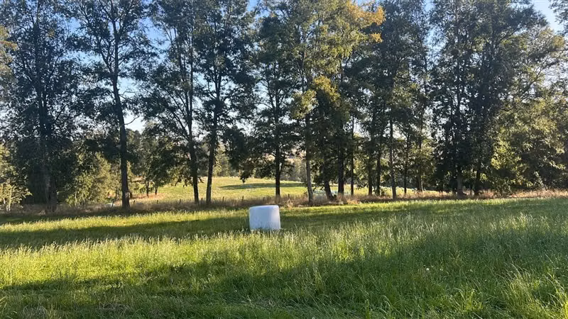 Agrícola en venta en Purranque