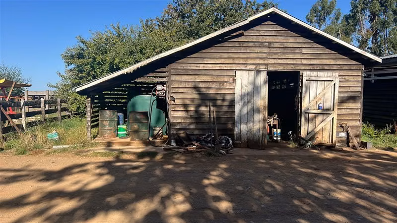 Agrícola en venta en Purranque