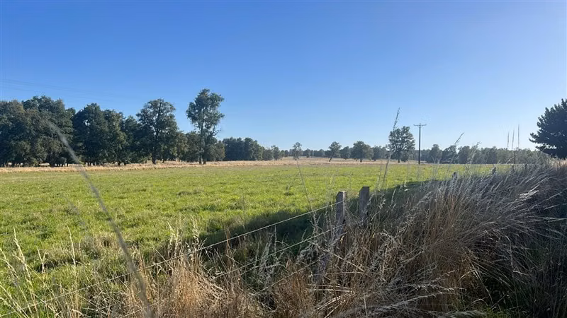 Agrícola en venta en Purranque
