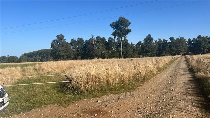 Agrícola en venta en Purranque