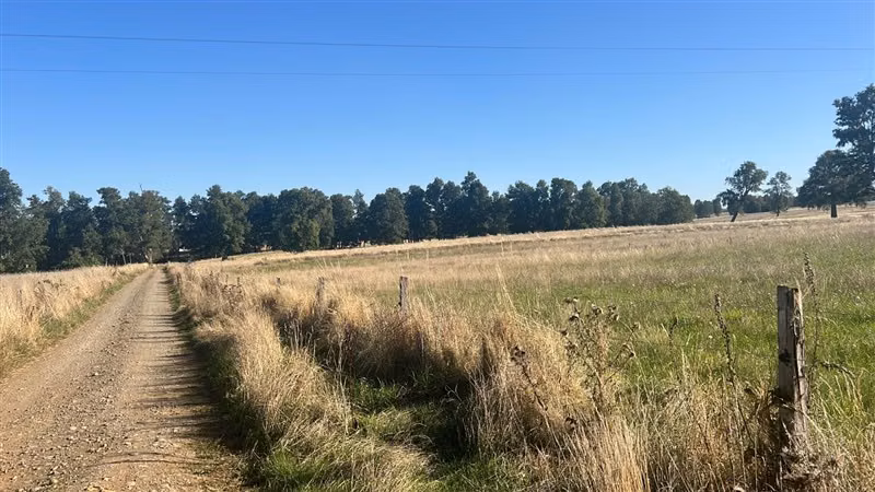 Agrícola en venta en Purranque