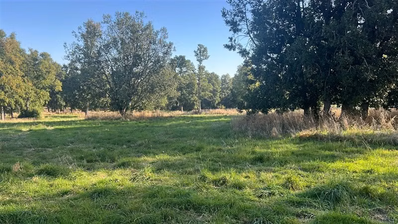 Agrícola en venta en Purranque