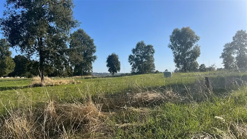 Agrícola en venta en Purranque
