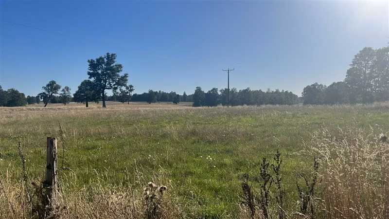 Agrícola en venta en Purranque