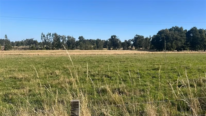 Agrícola en venta en Purranque