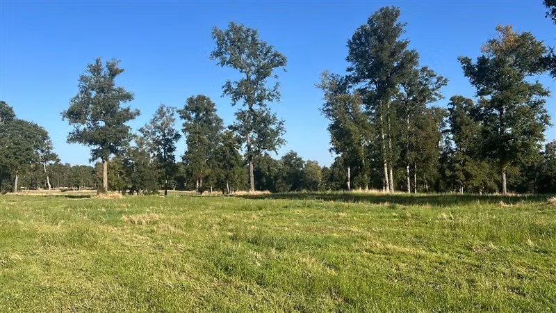 Agrícola en venta en Purranque