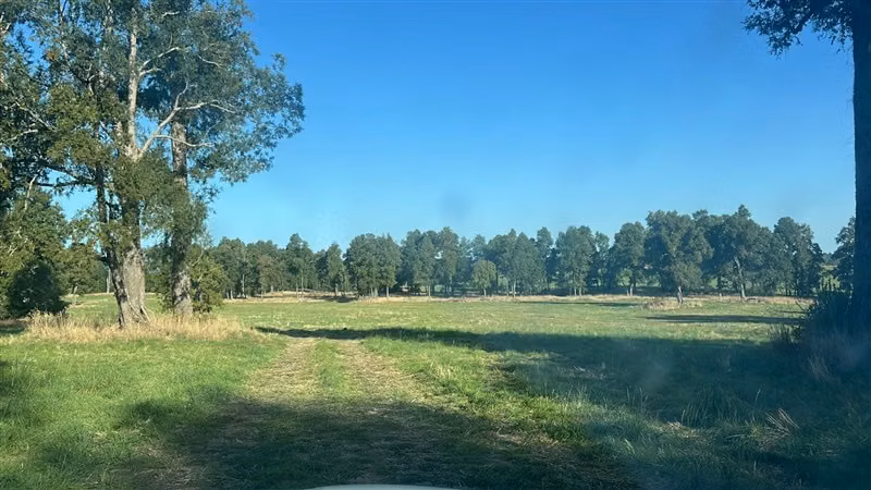 Agrícola en venta en Purranque