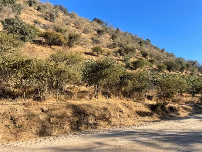 Parcela en venta en Curacaví