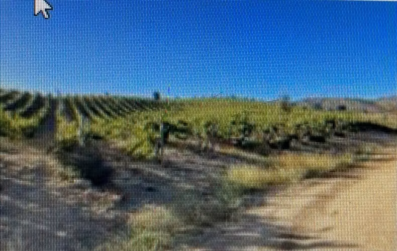 Agrícola en venta en Casablanca
