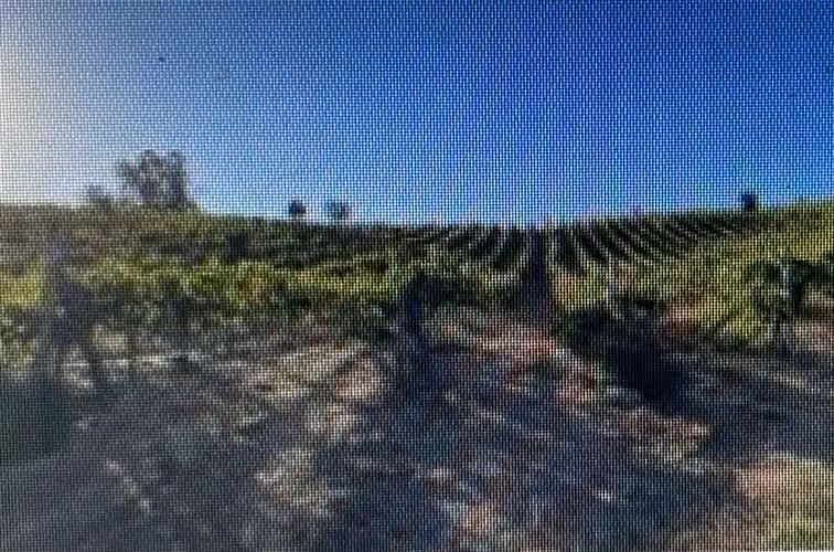 Agrícola en venta en Casablanca