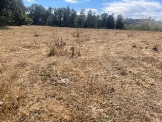 Agrícola en venta en Lautaro