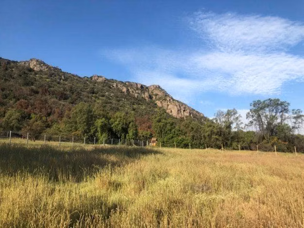 Venta Sitio Lo Curro Vitacura - Imagen 6