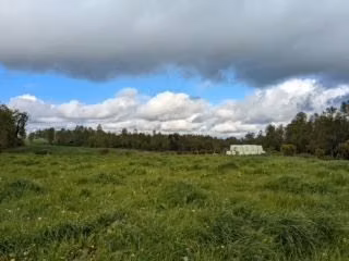 Parcela en venta en Paillaco