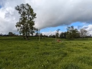 Parcela en venta en Paillaco