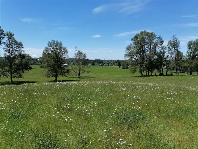 Parcela en venta en Purranque